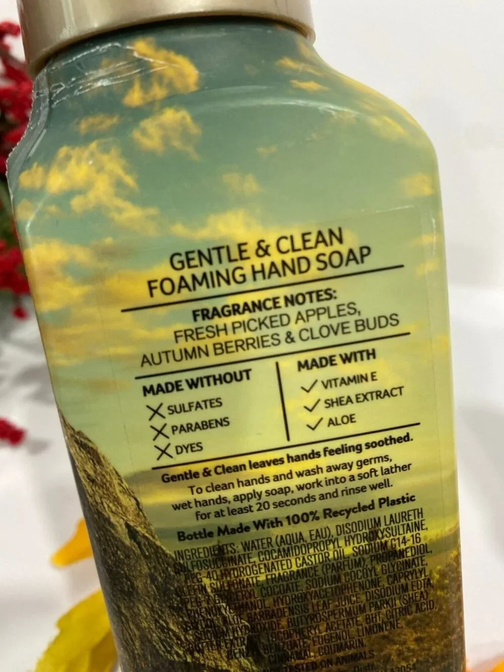 Fall & Autumn Gentle Foaming Hand Soaps Bath & Body Works X 3